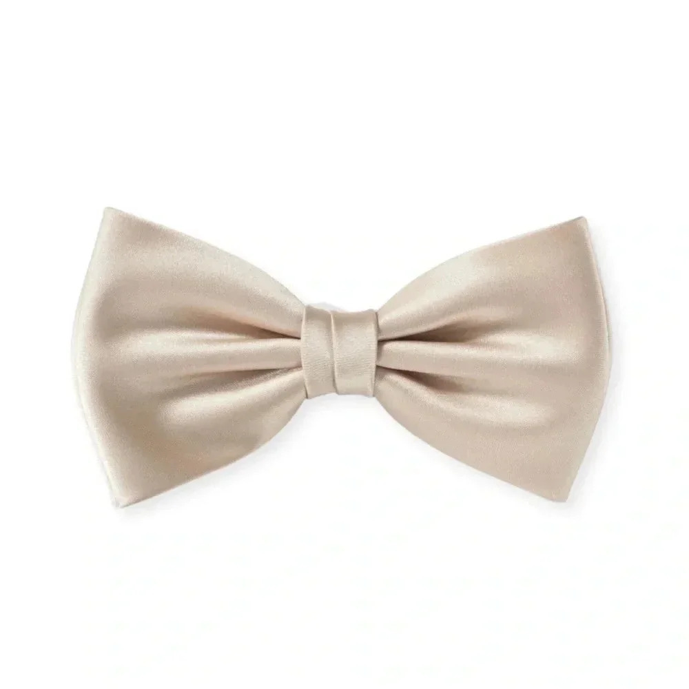 NWT Ryan Seacrest Pre-Tied Men’s Silk Bow Tie